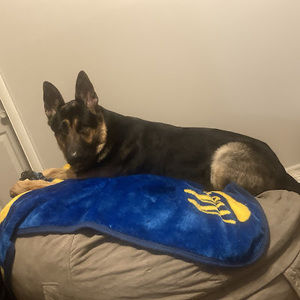 Meet your Posher, Ronnie